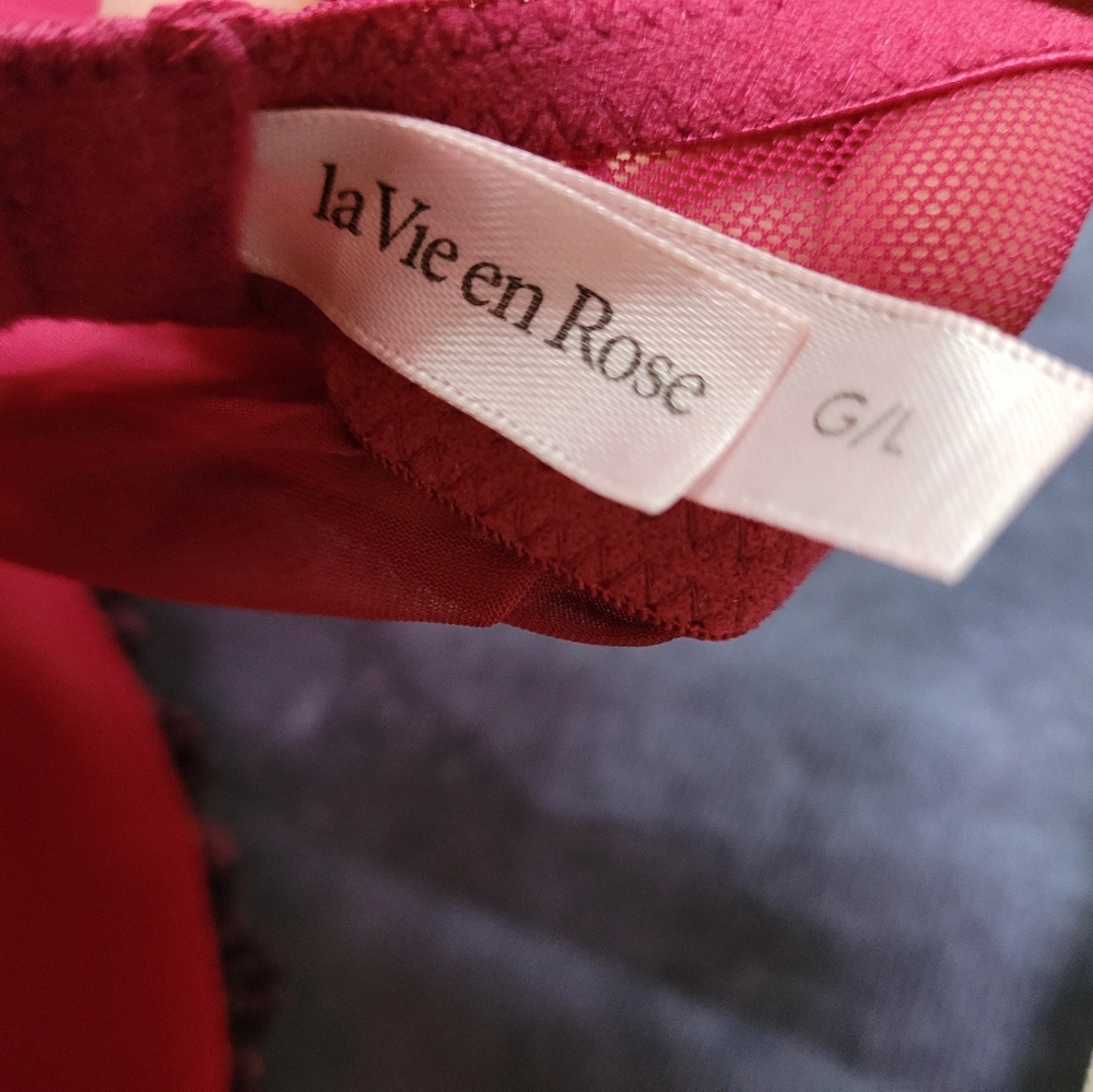 La Vie En Rose Pink And Black Sheer Teddy - Picture 5 of 7